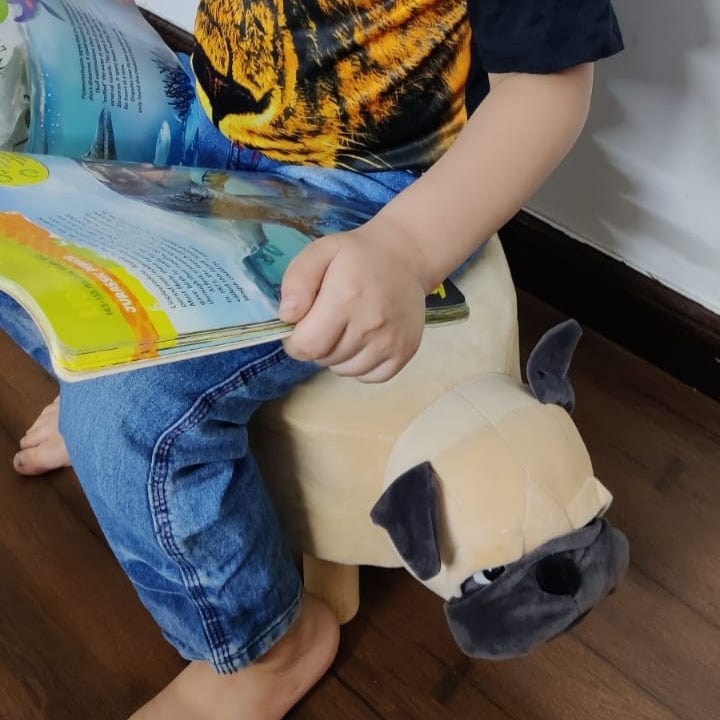 Dog/ Pug designed soft fur stool for kids room decor Stool KidosPark