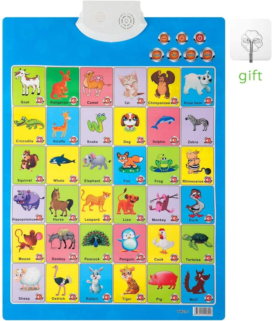 Electronic Learning Sound Wall Chart Educational toy KidosPark