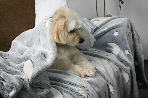 Microfibre soft warm glow in the dark blanket Toy KidosPark