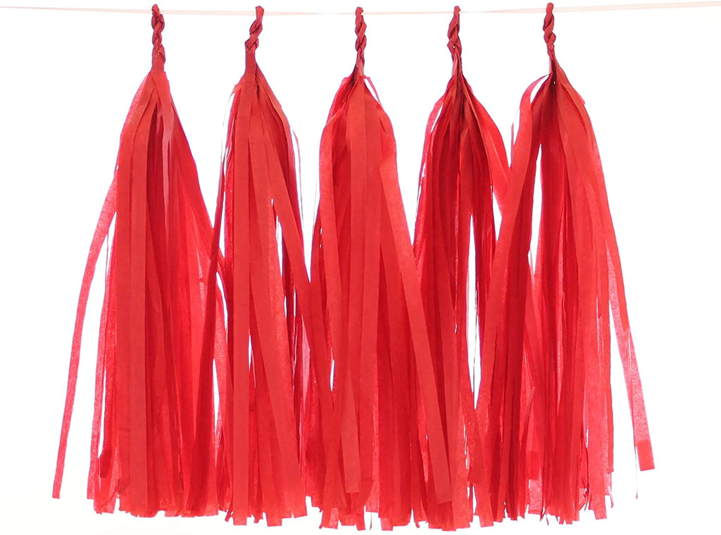 Tissue paper Tassel garland for party decoration - 5 pieces Tassel KidosPark